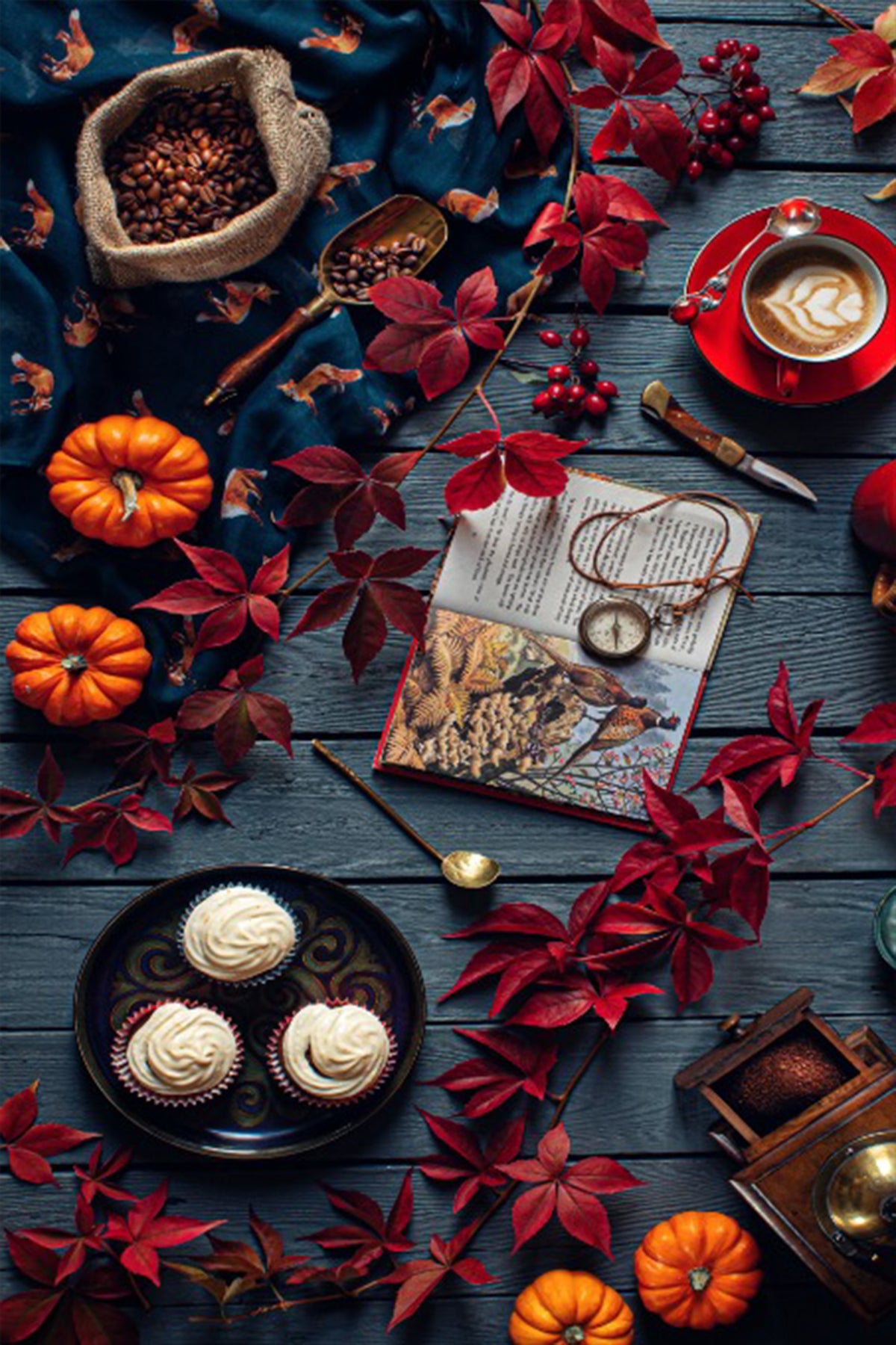 Staze za kuhinju – Jesen